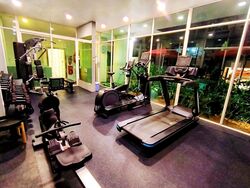 Le Reve (D14), Condominium #523079821